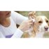 Салфетки с алоэ для ухода за ушами собак Dogslife 50 шт/уп