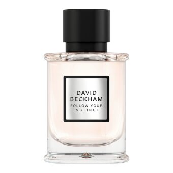 Парфюмерная вода David Beckham Follow Your Instinct 50 мл Парфюмерная вода David Beckham Follow Your Instinct 50 мл