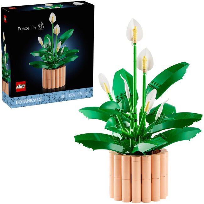 Конструктор LEGO® Botanicals Viirivehka 11504
