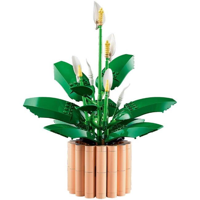 Конструктор LEGO® Botanicals Viirivehka 11504