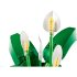 Конструктор LEGO® Botanicals Viirivehka 11504