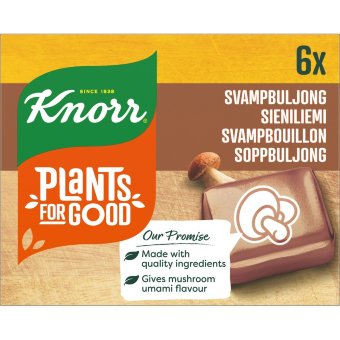 Бульонный кубик Knorr с грибным вкусом (уп 6 шт) 60 гр Бульонный кубик Knorr с грибным вкусом (уп 6 шт) 60 гр