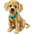 Конструктор LEGO® Icons 11384 щенок золотистого ретривера Конструктор LEGO® Icons 11384 щенок золотистого ретривера