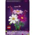Конструктор LEGO® Botanicals Космеи 11514