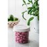 Емкость для хранения SmartStore™ 0,75 л круглая