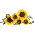 Набор LEGO® Botanicals 11502 Букет из подсолнухов Набор LEGO® Botanicals 11502 Букет из подсолнухов