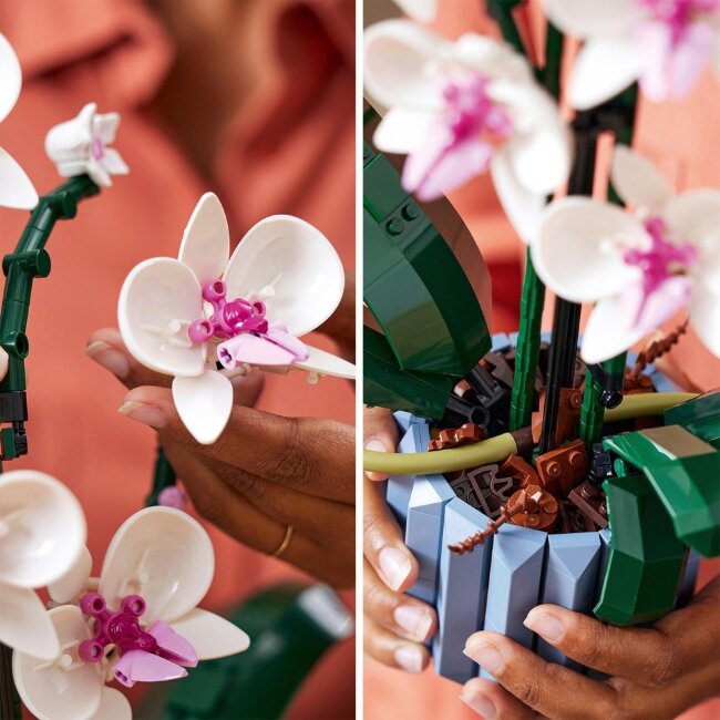 Конструктор LEGO® Botanicals Орхидея 10311 Конструктор LEGO® Botanicals Орхидея 10311