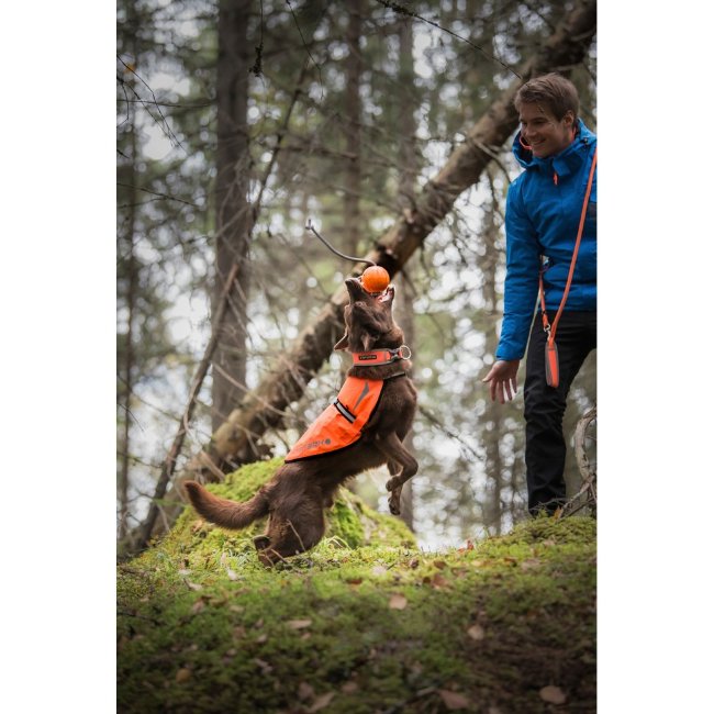 Жилет для собак Icepeak Pet светоотражающий Prozone Размер M оранжевый