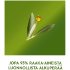 Краска для волос Schwarzkopf Natural & Easy 590 Ebenpuu Musta